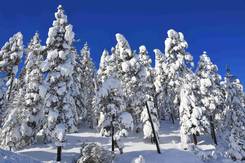 Paysage de neige